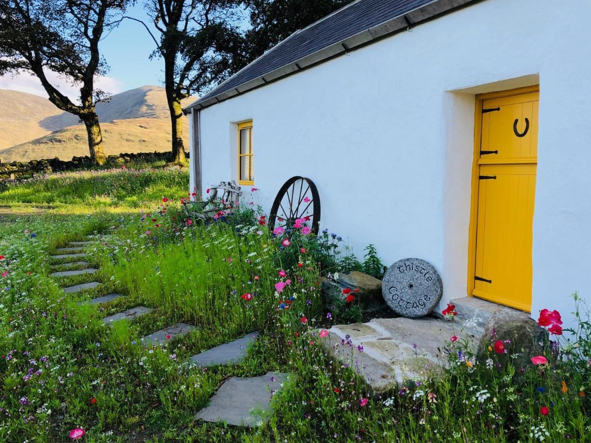Thistle Thatch Cottage And Hot Tub - Mourne Mountains Newcastle (Down) Exterior foto