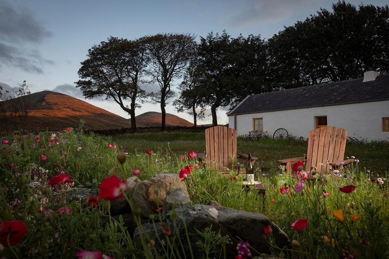 Thistle Thatch Cottage And Hot Tub - Mourne Mountains Newcastle (Down) Exterior foto